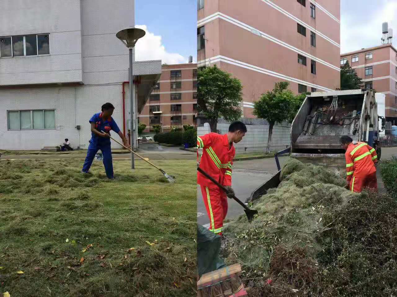 佛山園林綠化工程注重生態(tài)保護